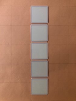 画像1: MITECA　チップ　30枚