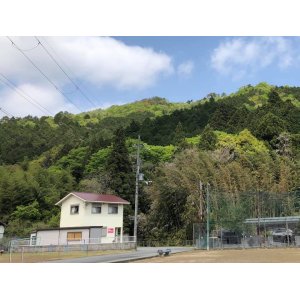 画像: 5月24日（土）創業21周年記念オンラインセミナー